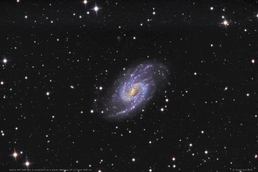 NGC3359-10avril15-full1.jpg